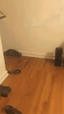 a person is standing on a wooden floor in a room with a speaker .