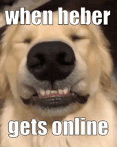 Heber Gets Online Get On Heber GIF - Heber Gets Online Get On Heber Cmere Heber GIFs