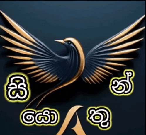 a black bird with gold wings is surrounded by foreign letters