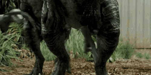 a close up of a dinosaur 's legs and feet standing on the ground .