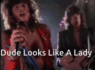 a man singing into a microphone next to another man playing a guitar with the words dude looks like a lady below them