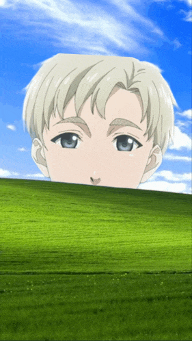 a boy 's head is sticking out of a field of grass