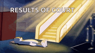 a cartoon of tom and jerry laying on the ground with the words results of court written above them