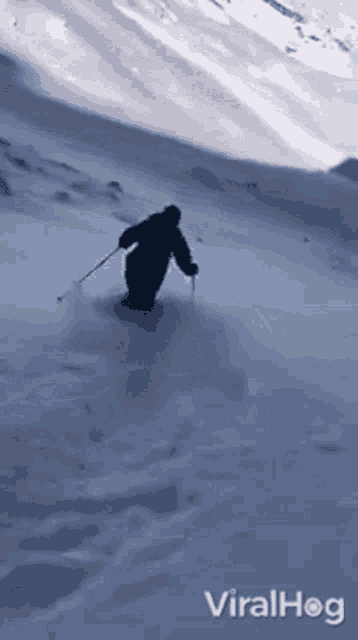 Ski Viralhog GIF - Ski Viralhog Snow GIFs