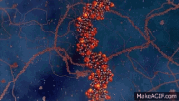 a computer generated image of a molecule with red and black balls