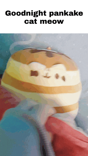 a person is holding a stuffed animal that says goodnight pancake cat meow on it