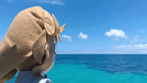 a stuffed animal is looking at the ocean