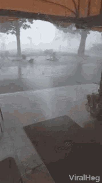 Wind Blowing GIF - Wind Blowing Storm GIFs
