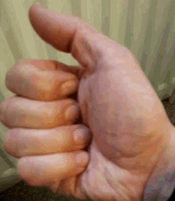Thumbs Up GIF - Thumbs Up GIFs