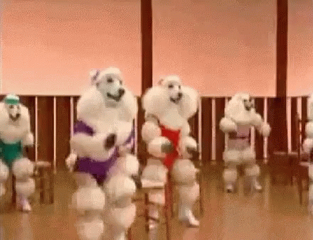 Dance Funny GIF - Dance Funny Moves GIFs