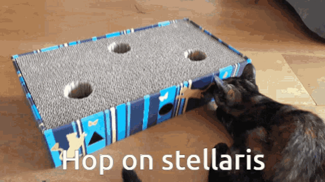 a cat is playing with a scratching board that says hop on stellaris