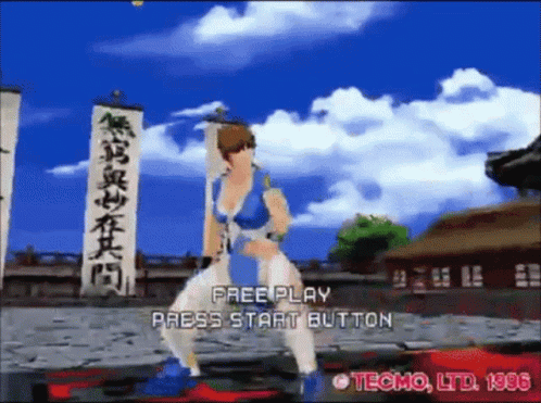 Dead Or Alive Video Games GIF