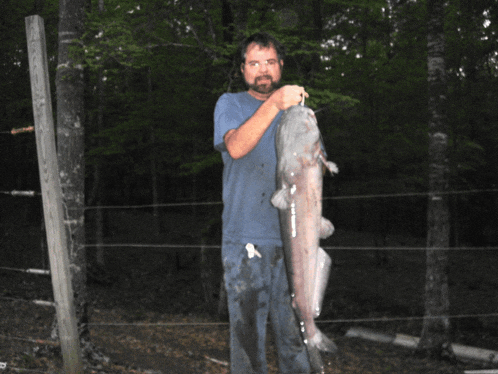 a man in a blue shirt holds a large catfish in his hands