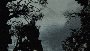 a silhouette of a person standing under a tree in the dark