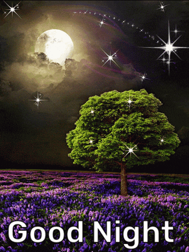 a picture of a tree in a field with the words good night written below it