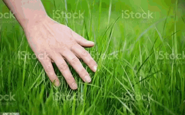 I Touched Grass GIF - I Touched Grass GIFs