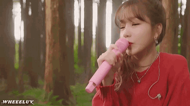 a woman in a red sweater is singing into a pink microphone .