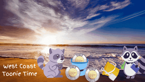 two raccoons on a beach with the words west coast toonie time behind them