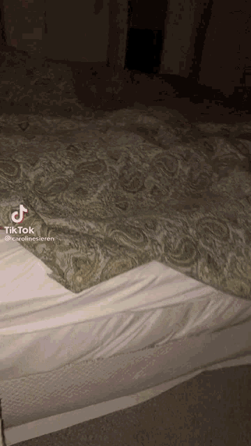 Bed Floppa GIF - Bed Floppa GIFs