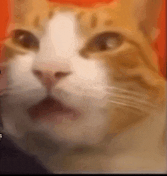 a close up of an orange and white cat 's face with its mouth open .