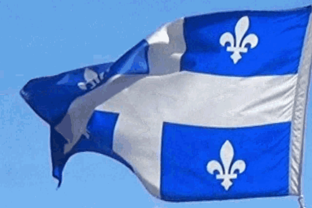 Quebec Flag Drapeau Quebec GIF - Quebec Flag Drapeau Quebec Fleurdelisé GIFs