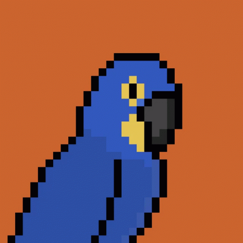 Macaws GIF - Macaws GIFs