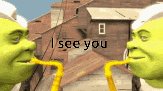 shrek is looking at himself in a mirror and says i see you