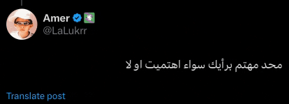 a screenshot of a tweet by amer with a translate post below it