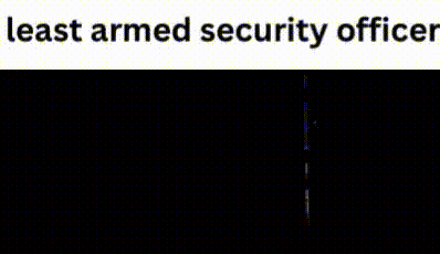a picture of a least armed security officer standing in a dark room .