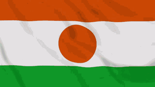 Niger Flag Gif GIF - Niger Flag Gif Africa GIFs