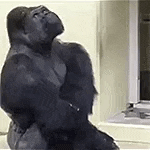 a gorilla is sitting in front of a television in a living room .