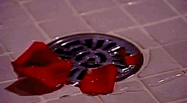 red rose petals are coming out of a drain on the floor .