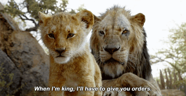 The Lion King Simba GIF - The Lion King Simba When Im King GIFs