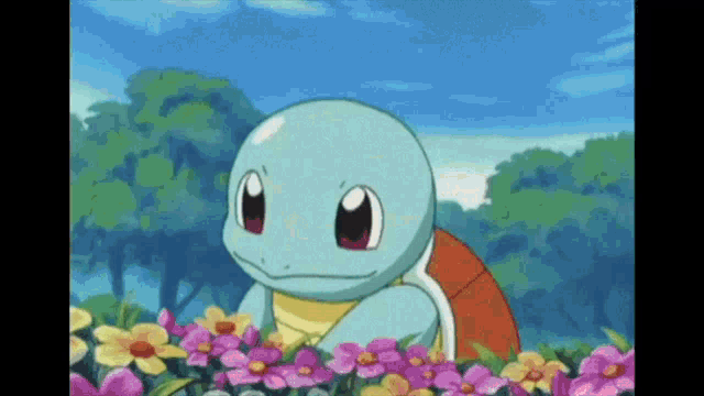 Supraoracles Pokemon Squirtle GIF - Supraoracles Pokemon Squirtle Crypto Moonshots GIFs