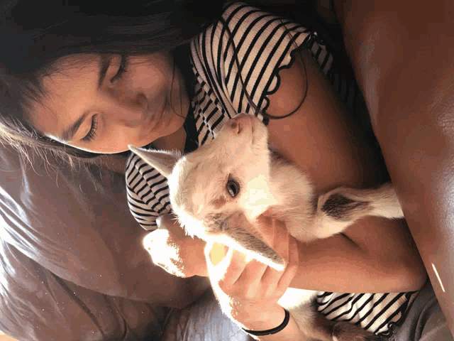 a girl is holding a baby goat in her arms