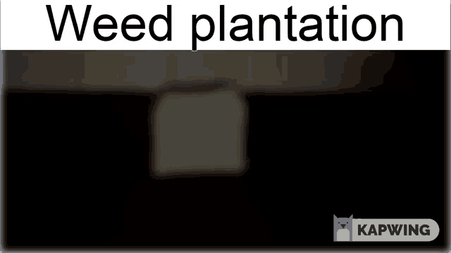 a sign that says weed plantation with a black background