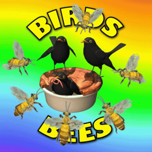Birds And The Bees Reproduction GIF - Birds And The Bees Reproduction Facts Of Life GIFs