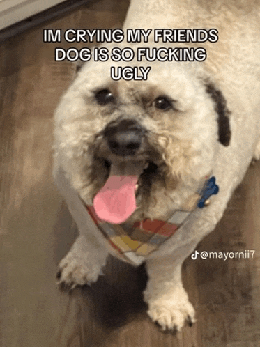 a dog with its tongue out and a caption that says ' im crying my friends dog is so fucking ugly '