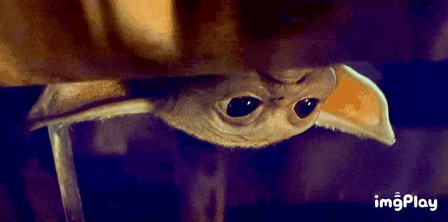 a close up of a baby yoda from the mandalorian