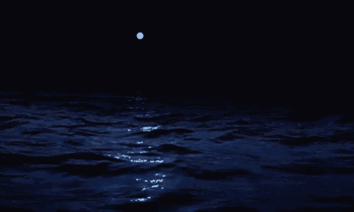 a full moon shines over a body of water at night