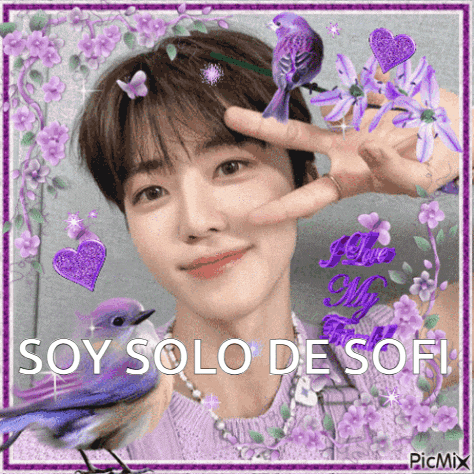 a picture of a boy with purple flowers and a bird and the words soy solo de sofi on the bottom