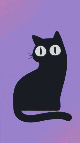 a black cat on a purple background with a hand reaching for it
