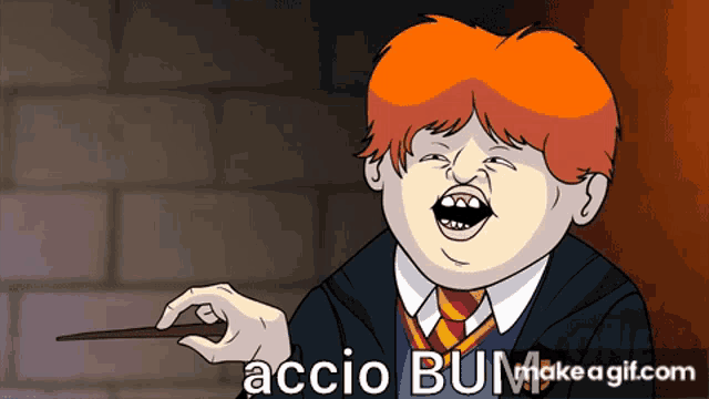 a cartoon of ron weasley holding a wand with the words " accio bum " on the bottom