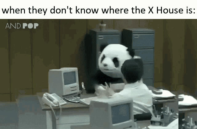 X Houses Panda X House GIF - X Houses X House Panda X House GIFs