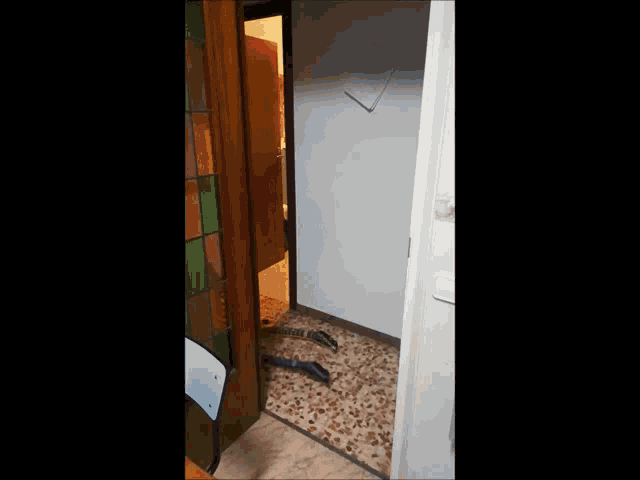 a doorway with a stained glass window and a snake laying on the floor