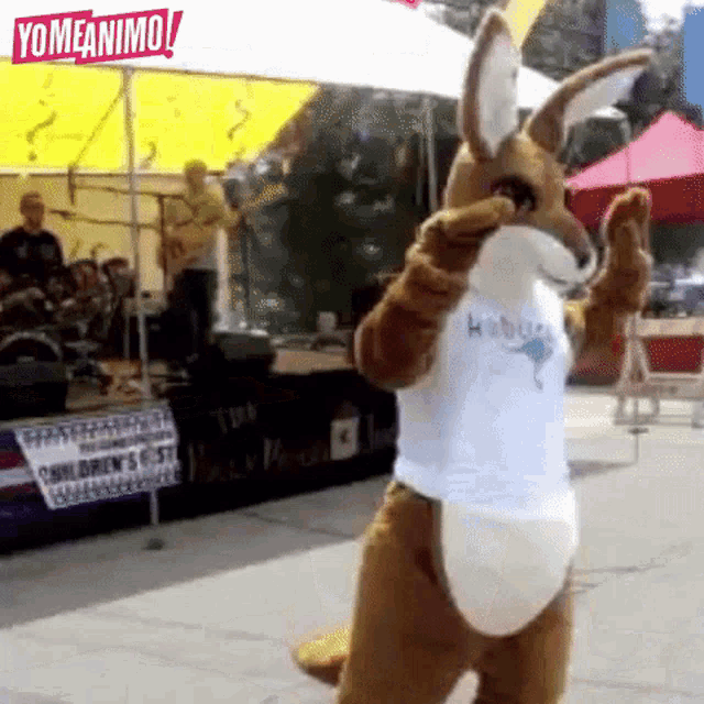 a kangaroo mascot is wearing a white shirt that says ' rabbits ' on it