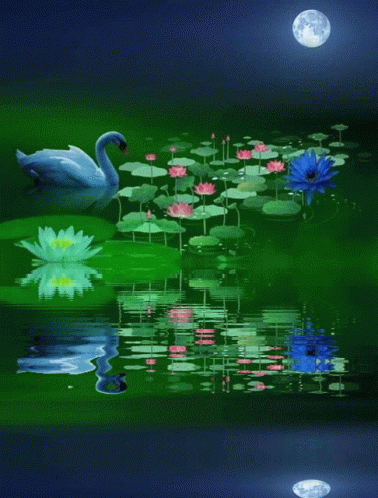 Dreamy Pond GIF