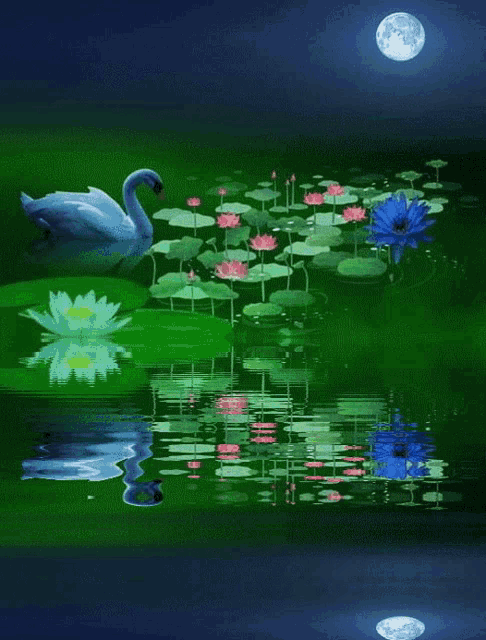 a swan is swimming in a pond with lily pads and flowers