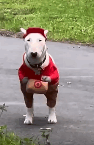Red Target Delivery Dog GIF - Red Target Delivery Dog GIFs