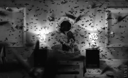 Moth Creepy GIF - Moth Creepy Insects GIFs
